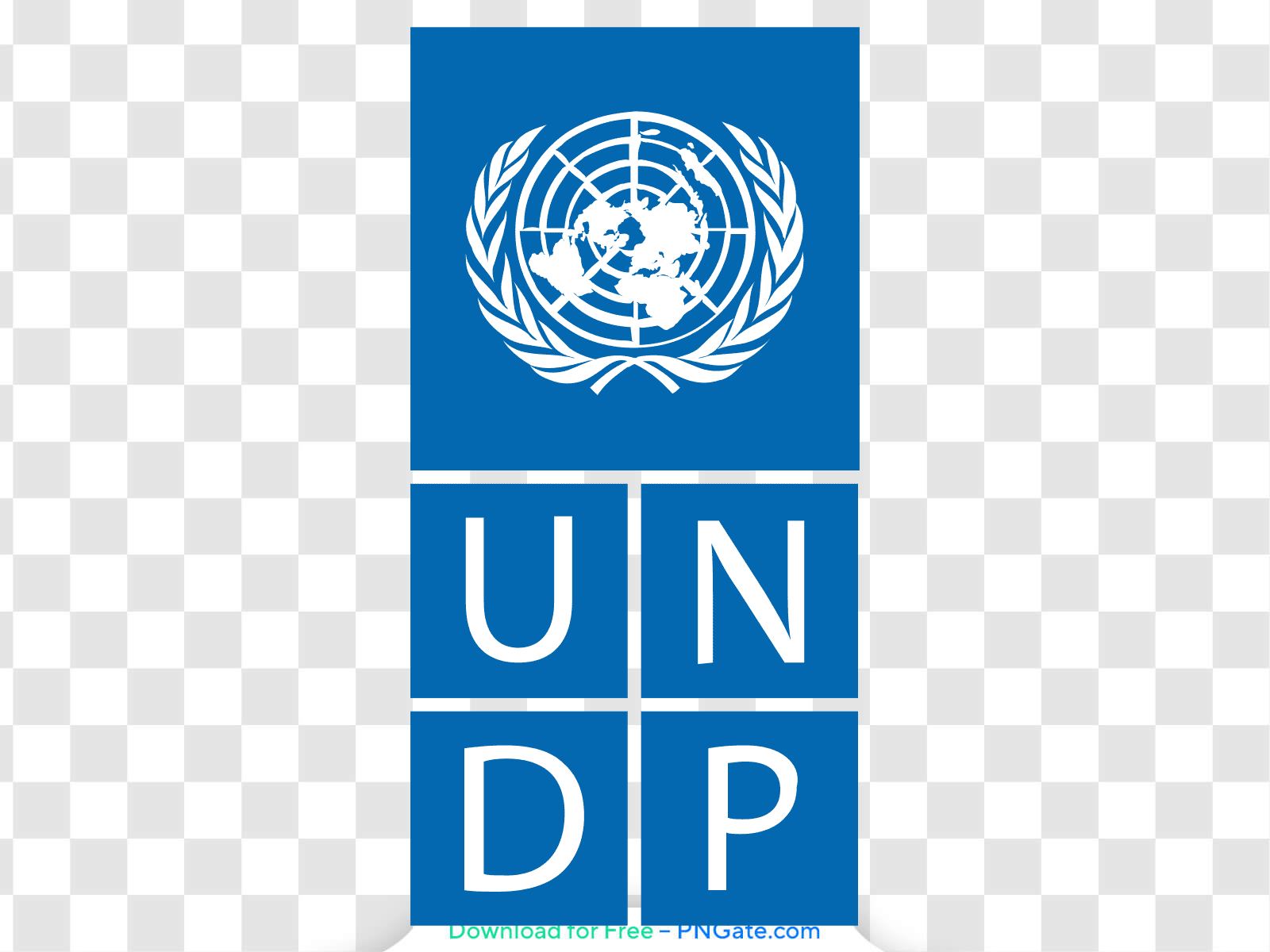 United Nations Development Programme (UNDP)